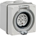 5 Pin 10A Outlet Only